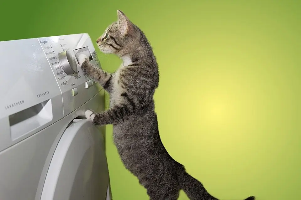 Dryer-Repair--in-Jensen-Beach-Florida-dryer-repair-jensen-beach-florida.jpg-image