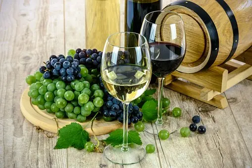 Wine-Cooler-Repair--in-West-Palm-Beach-Florida-wine-cooler-repair-west-palm-beach-florida.jpg-image